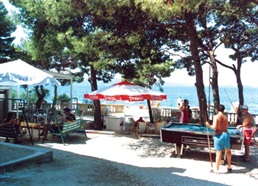 Brodarica