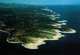 Brač
